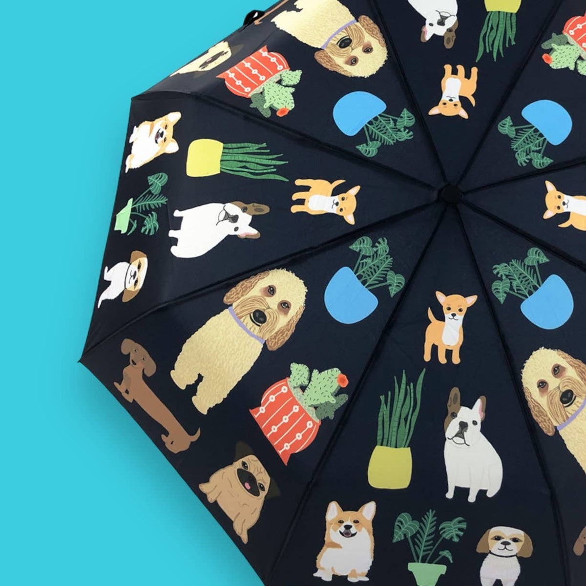 Naked Decor | Dog with Plants Umbrella