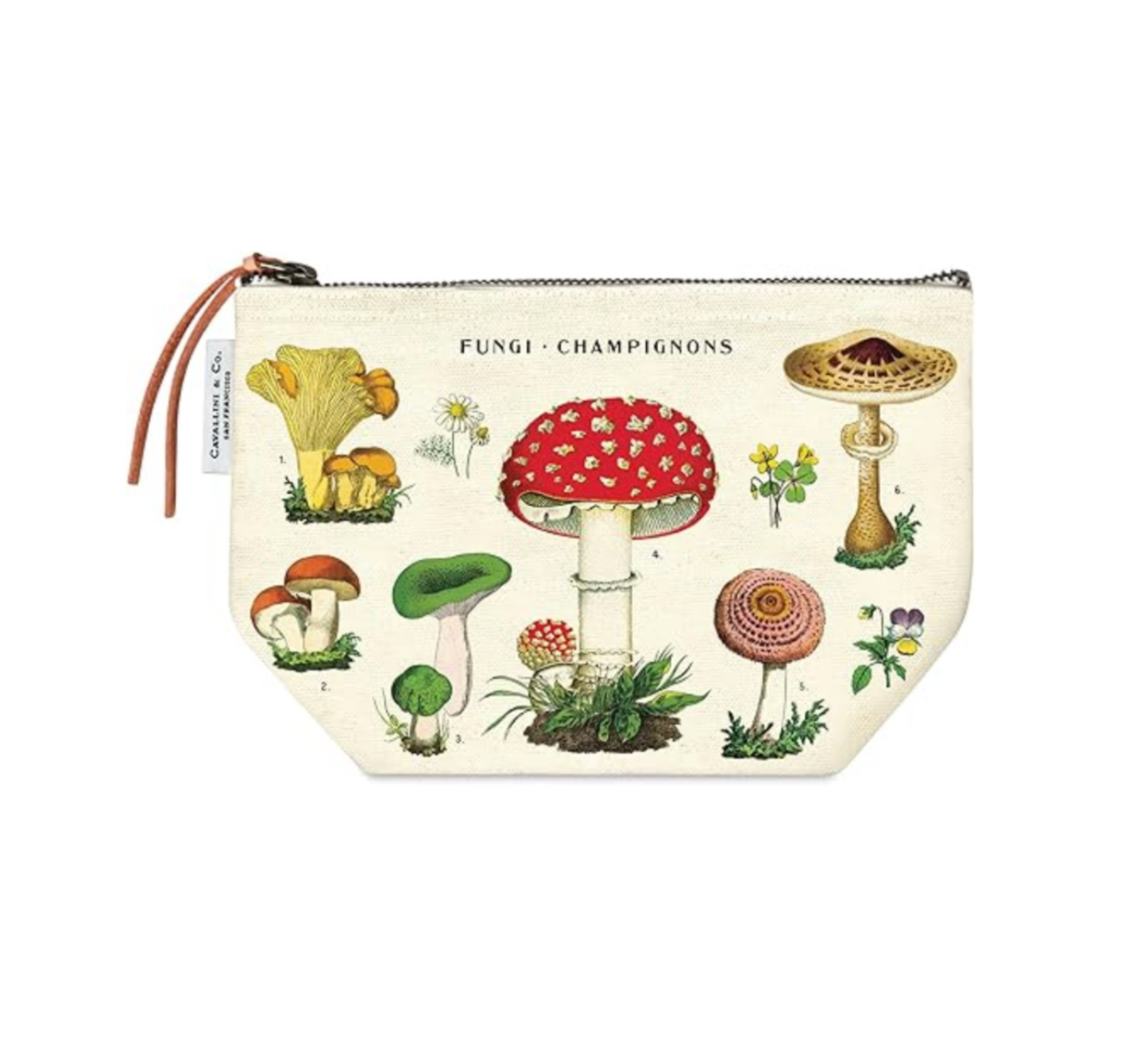 Cavallini | Pouch - Mushroom