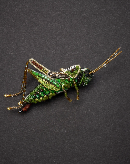 TROVELORE | Two Striped Grasshopper