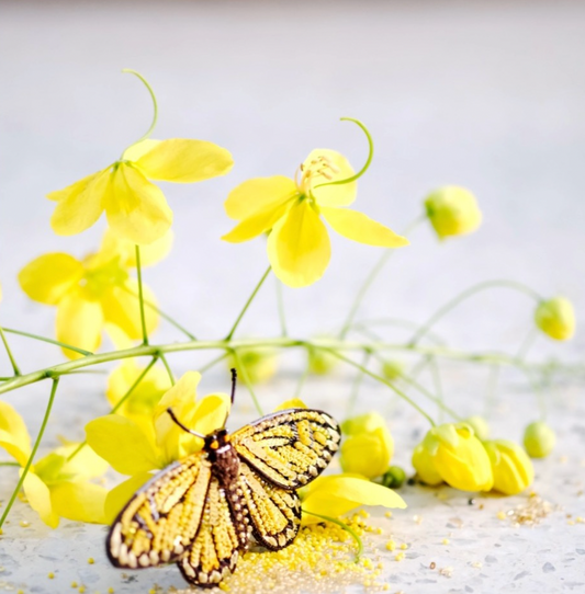 TROVELORE | Yellow Coster Butterfly Brooch
