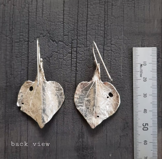 Emma Cunningham | Kawakawa Leaf Earrings small