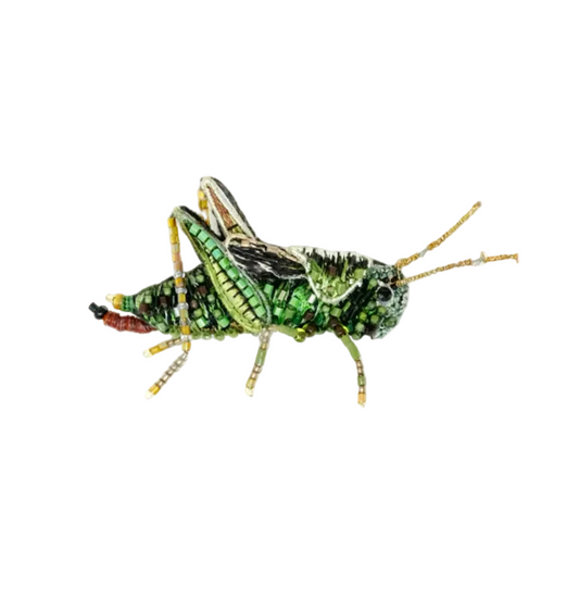 TROVELORE | Two Striped Grasshopper