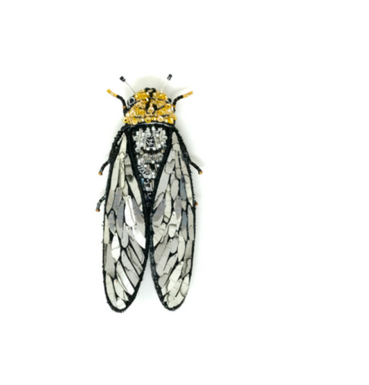 TROVELORE| Walker's Cicada