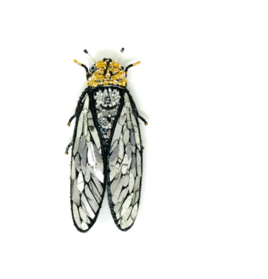 TROVELORE| Walker's Cicada