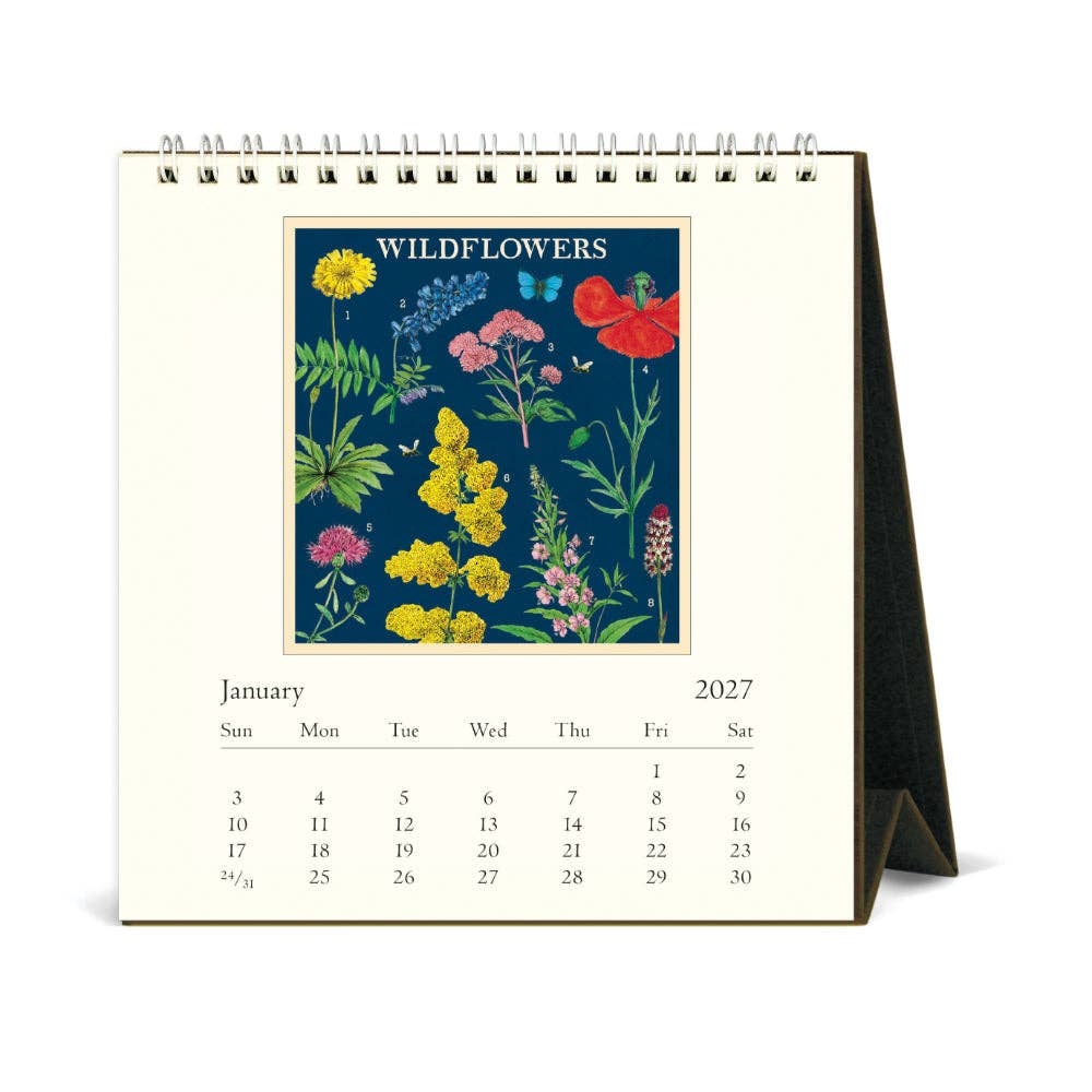Cavallini | 2027 Desk Calendar - Wildflowers