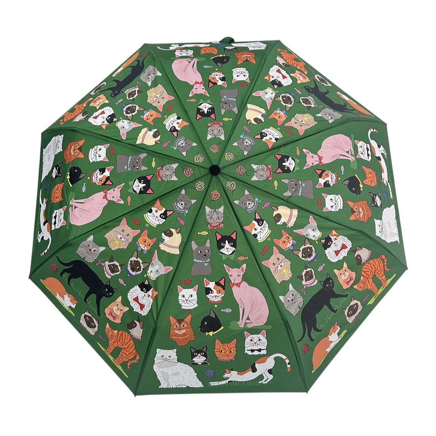 Naked Decor | Kitties Cat Parade Umbrella 