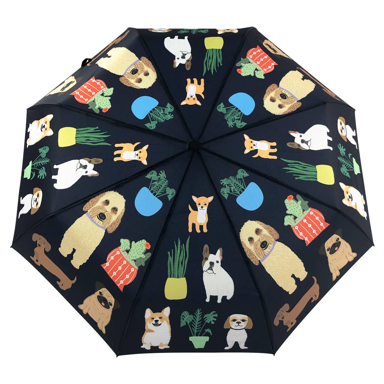 Naked Decor | Dog with Plants Umbrella