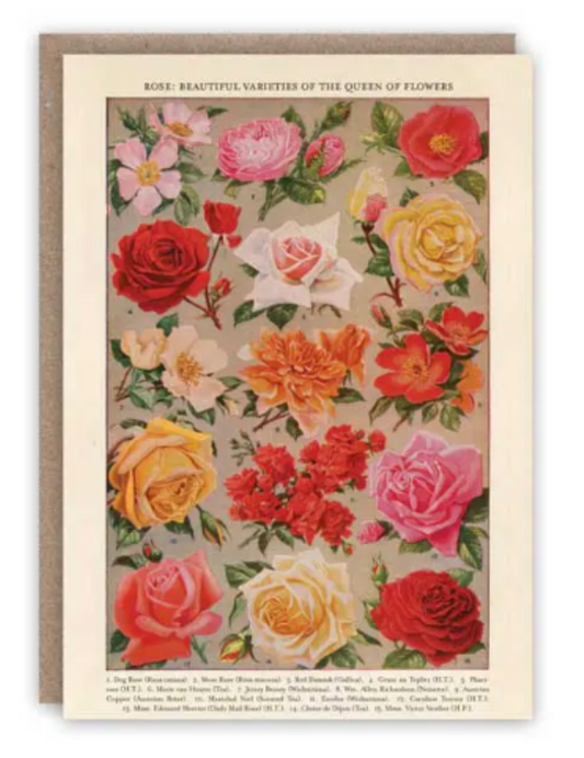 IKONINK  Roses Card
