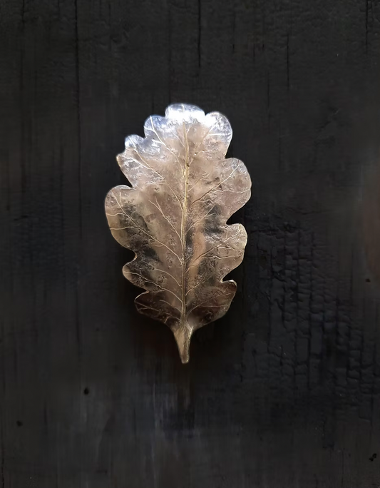 Emma Cunningham | Oak Leaf Brooch