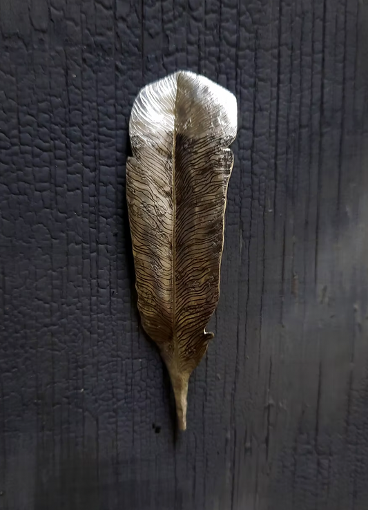 Emma Cunningham | Feather Brooch