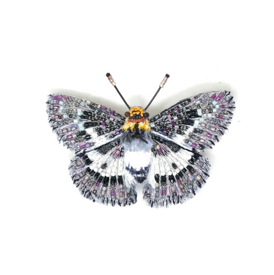 TROVELORE | Yellow Breast Butterfly