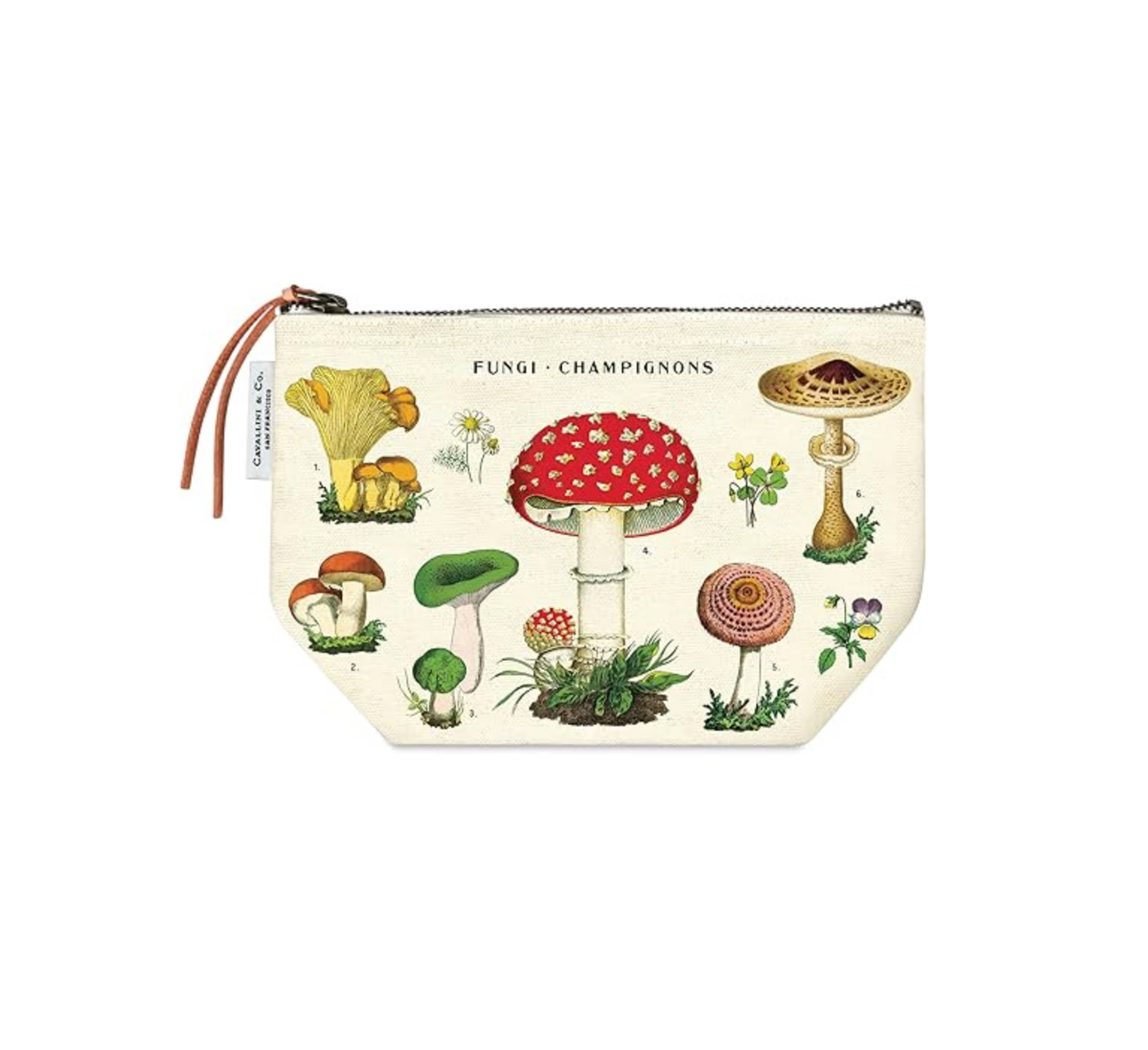 Cavallini | Pouch - Mushroom