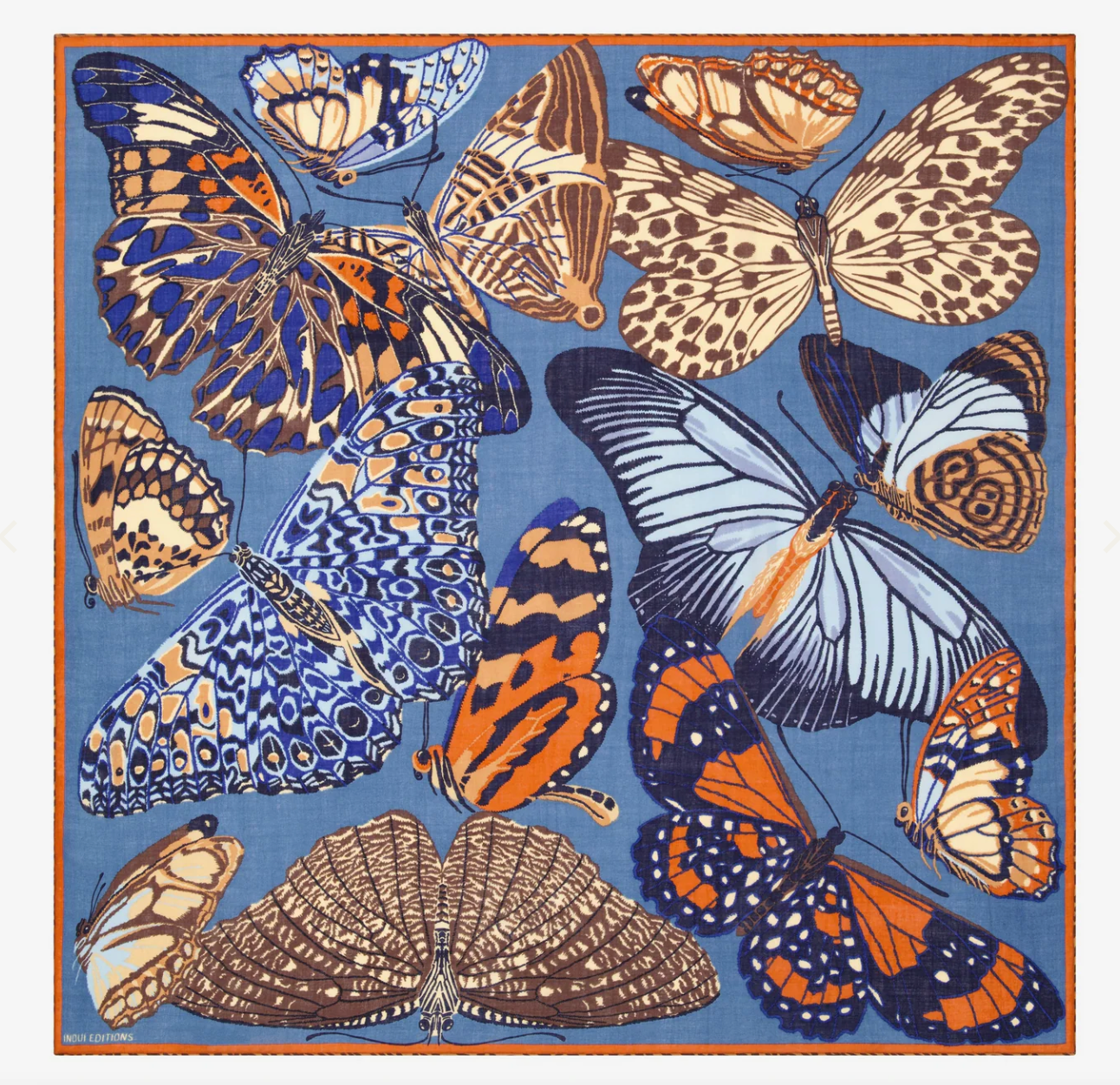 Inoui Edition |  Butterflies - Duck Blue