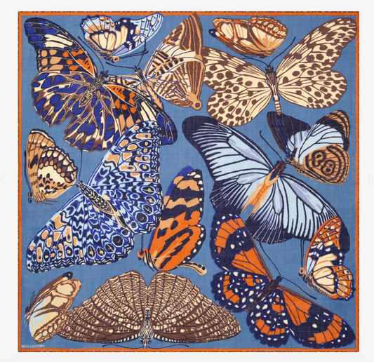 Inoui Edition |  Butterflies - Duck Blue