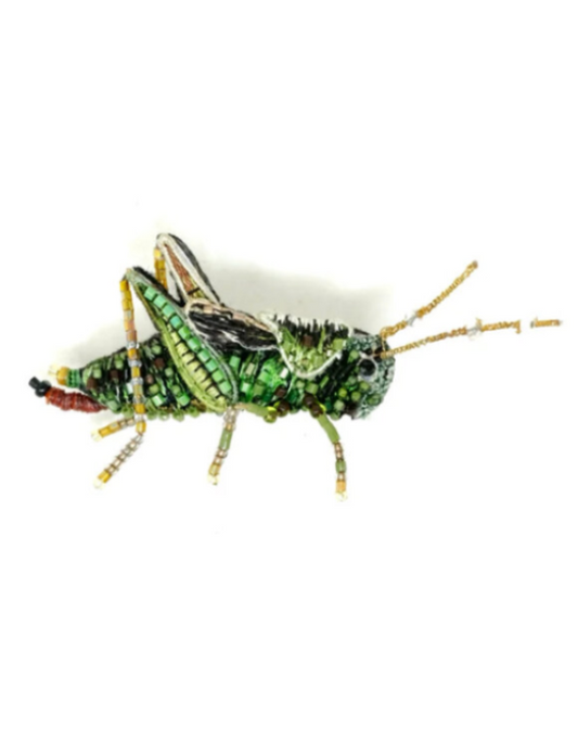 TROVELORE | Two Striped Grasshopper