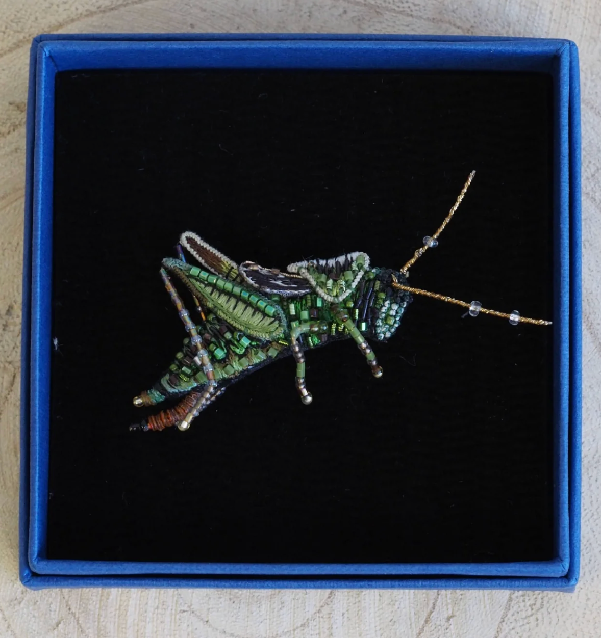 TROVELORE | Two Striped Grasshopper