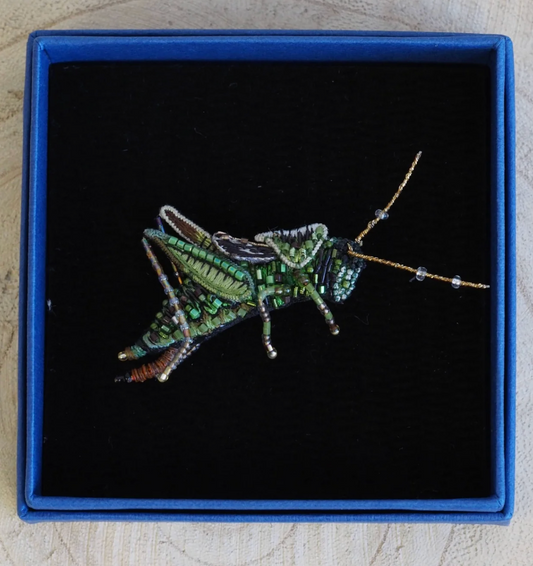 TROVELORE | Two Striped Grasshopper