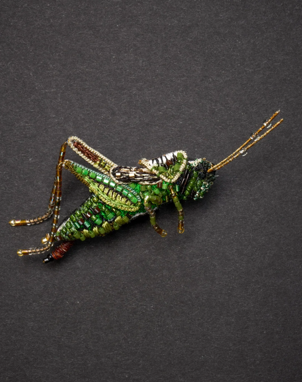 TROVELORE | Two Striped Grasshopper