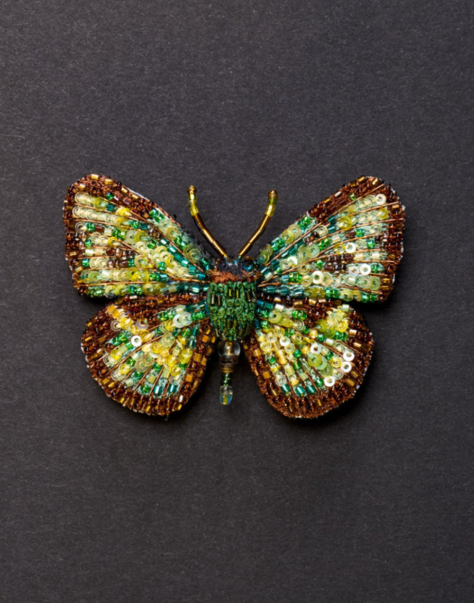TROVELORE | Four Spot Sailor Butterfly Brooch