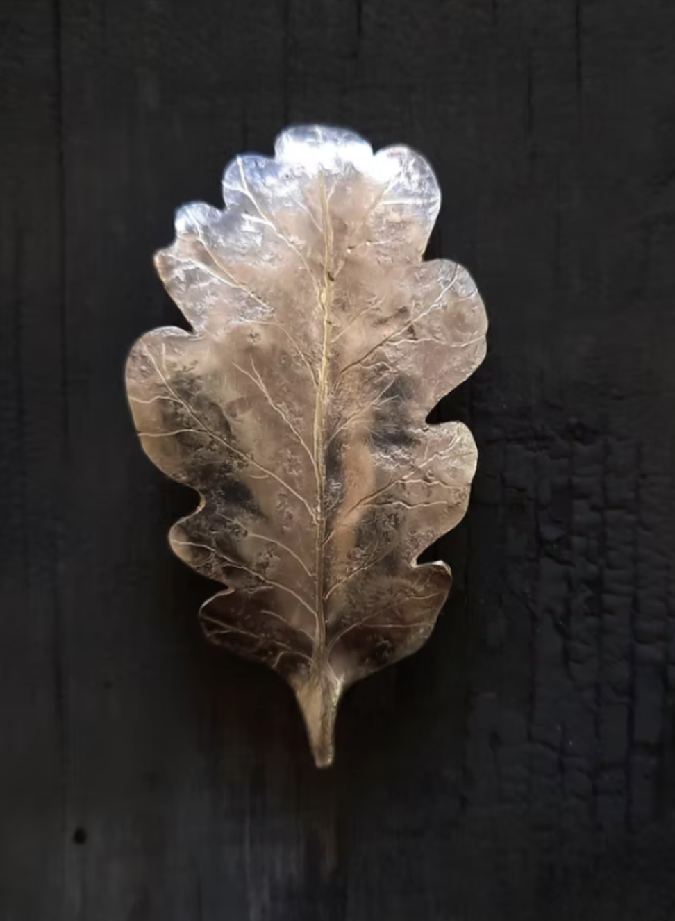 Emma Cunningham | Oak Leaf Brooch  (ETA 15/10/26)