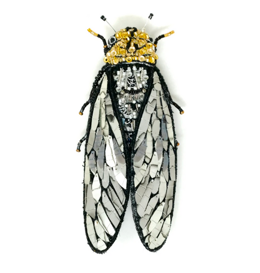 TROVELORE| Walker's Cicada