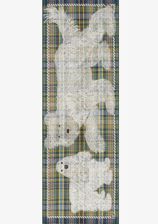 Inoui Edition |  FREDDY 70 KAKI