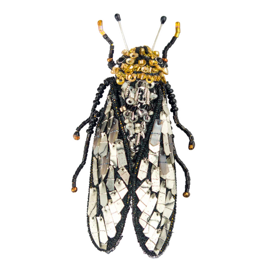 TROVELORE| Walker's Cicada