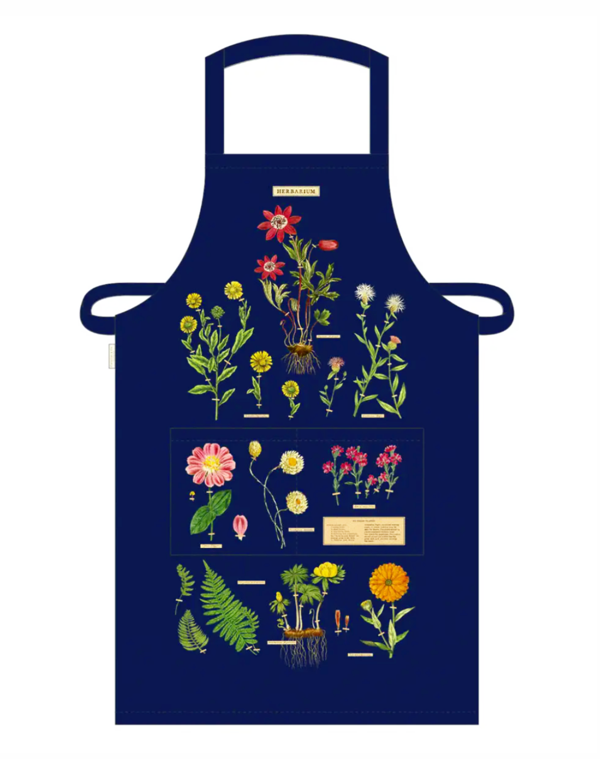 Cavallini Apron | Herbarium