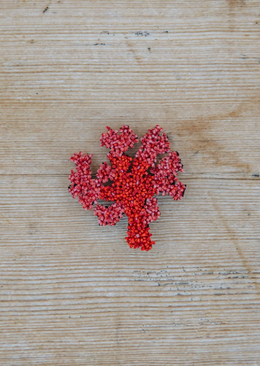 TROVELORE | Coral Brooch