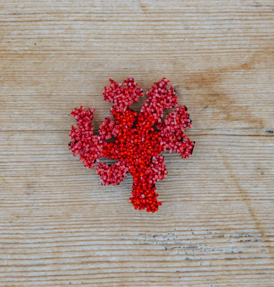 TROVELORE | Coral Brooch
