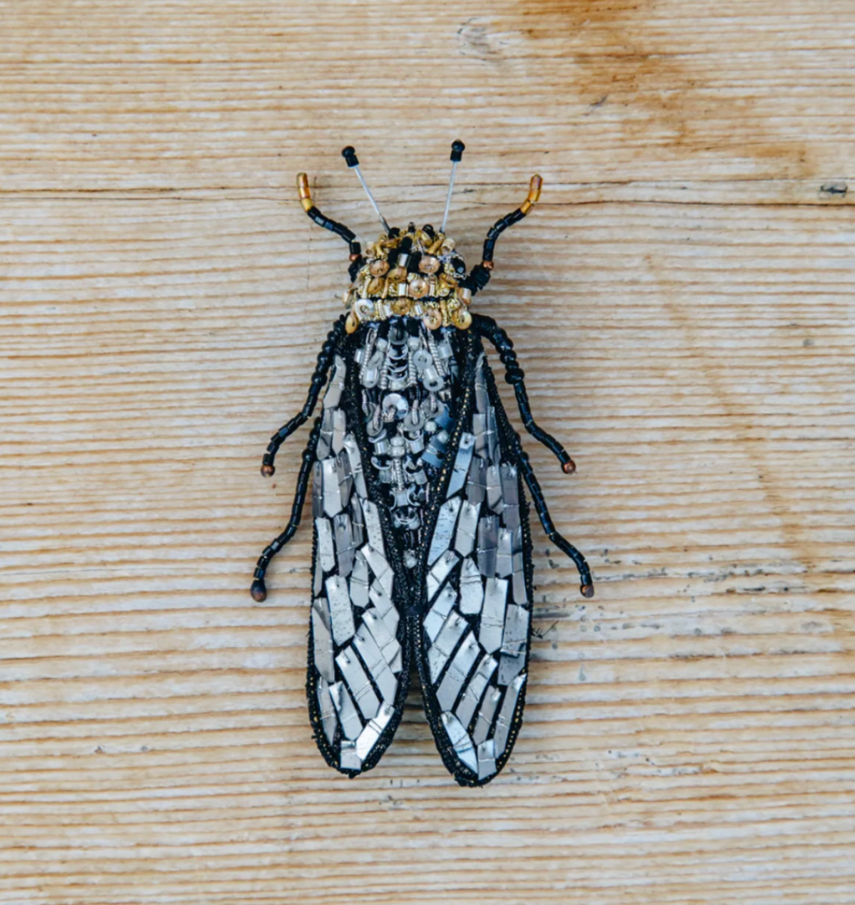 TROVELORE| Walker's Cicada