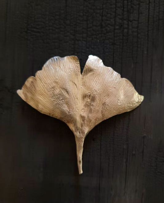 Emma Cunningham | Ginkgo Leaf Brooch