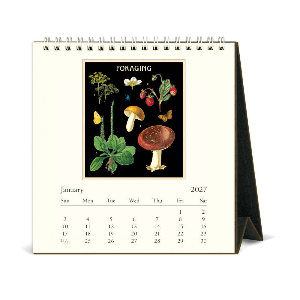 Cavallini | 2027 Desk Calendar - Foraging